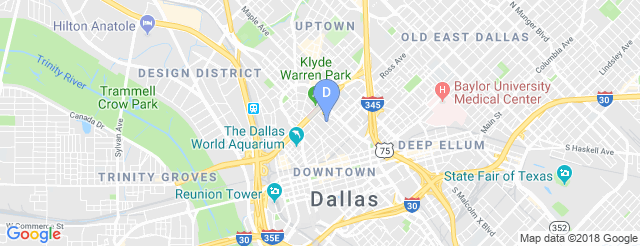 Dallas Museum Of Art